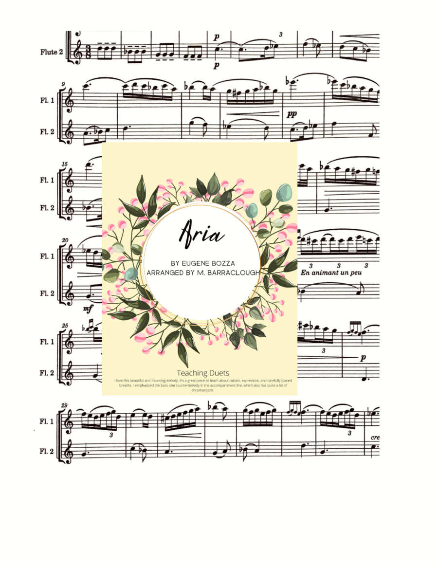 Aria Aria Flute Duet scores gallery preview page 1