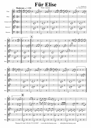 For Elise - Ludwig van Beethoven - Wind Quintet