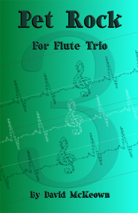 Book cover for Pet Rock, a Rock Piece for Flute Trio