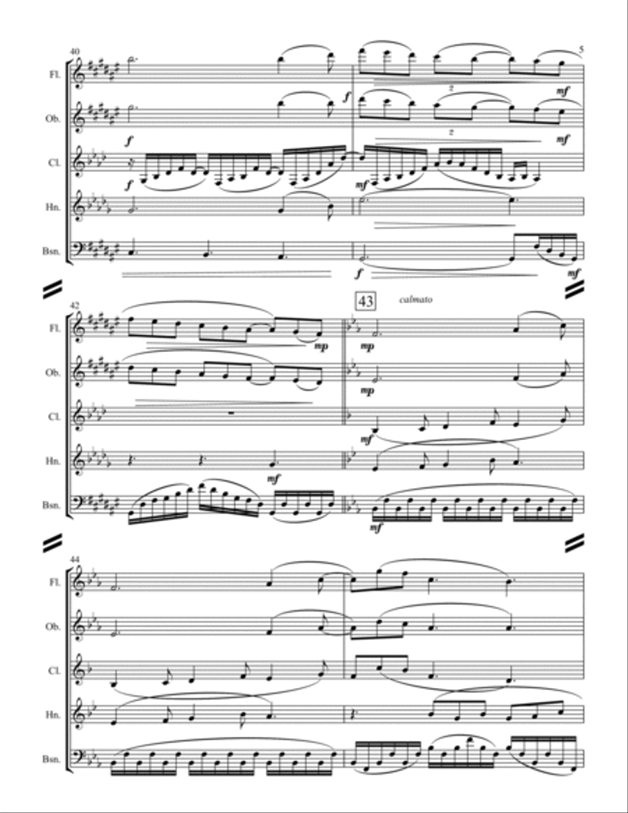 Clair de Lune (for Woodwind Quintet) Woodwind Quintet scores gallery preview page 6