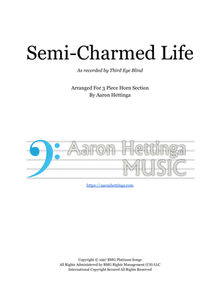 Book cover for Semi-charmed Life