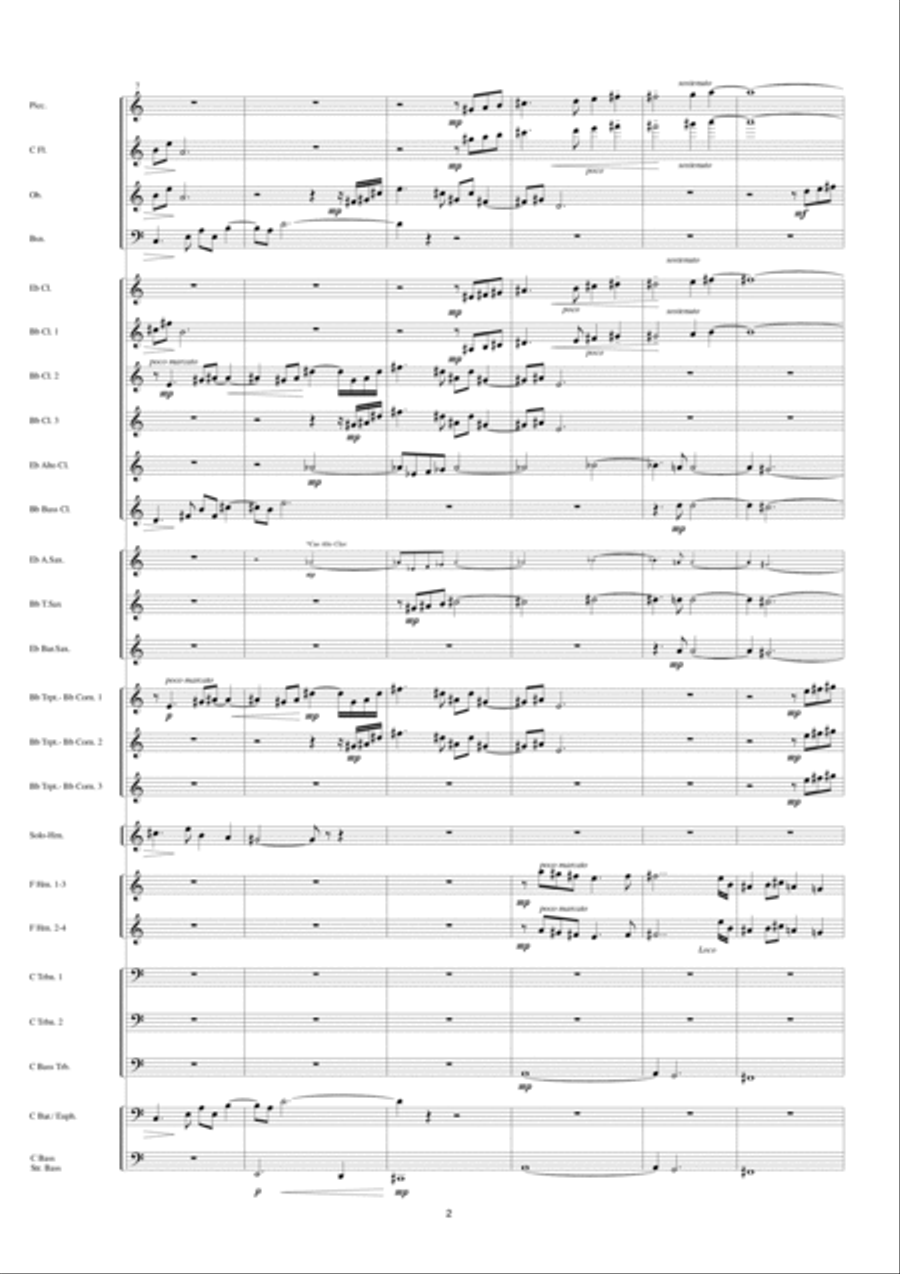 Adagio For Horn Concert Band scores gallery preview page 3