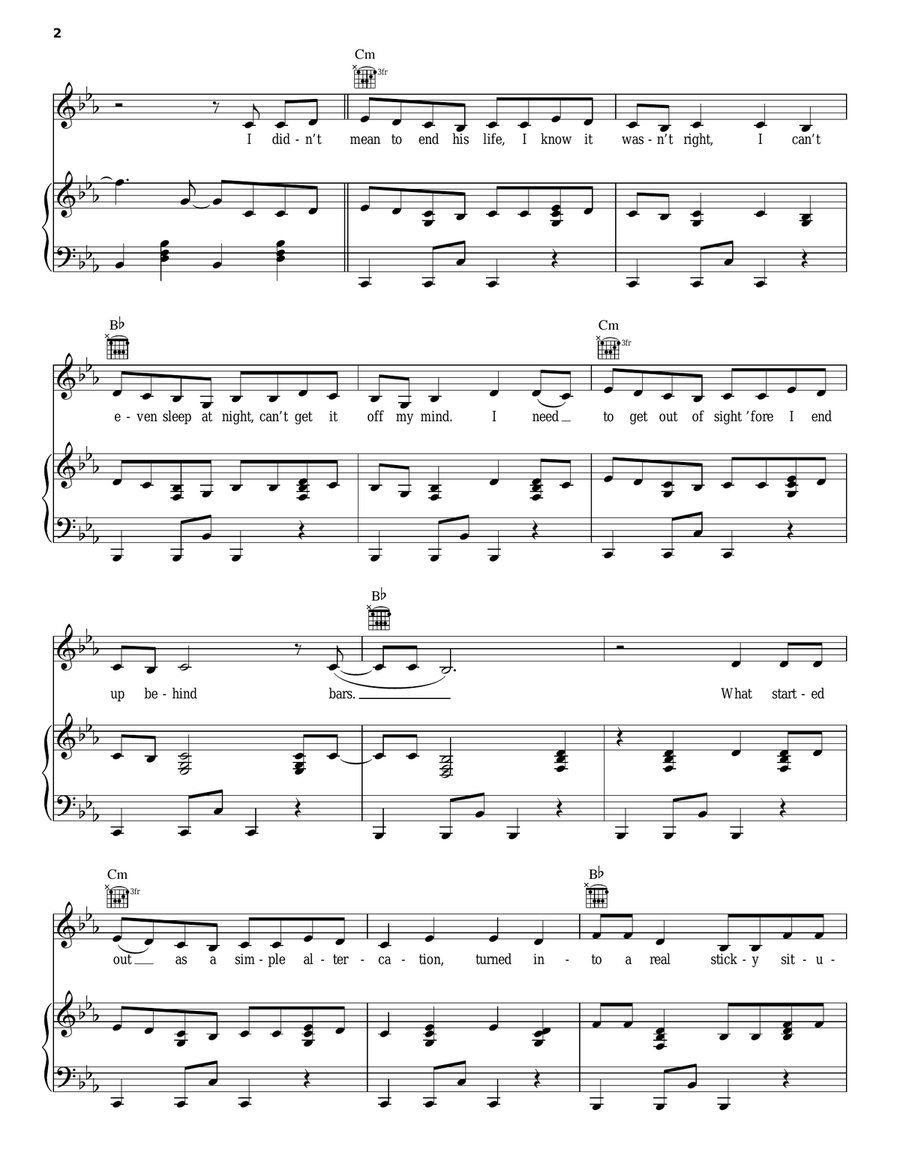 Man Down Piano, Vocal, Guitar scores gallery preview page 2