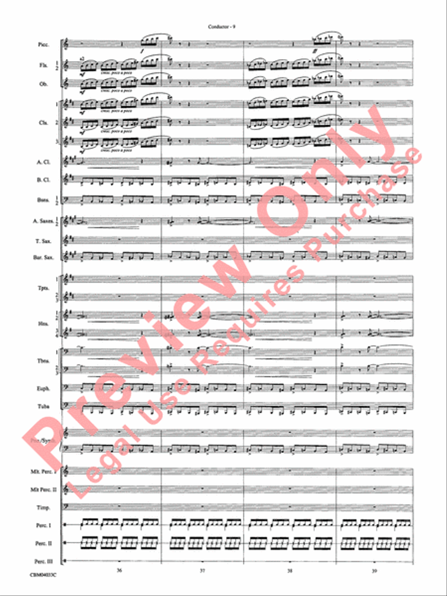 The Polar Express, Concert Suite from Concert Band scores gallery preview page 11