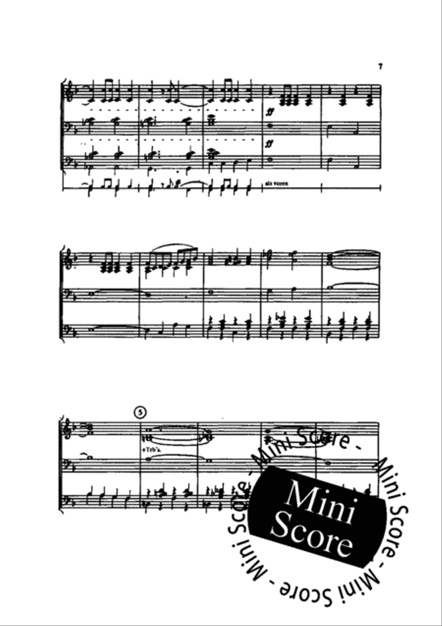 Salto Mortale Fanfare Band scores gallery preview page 9