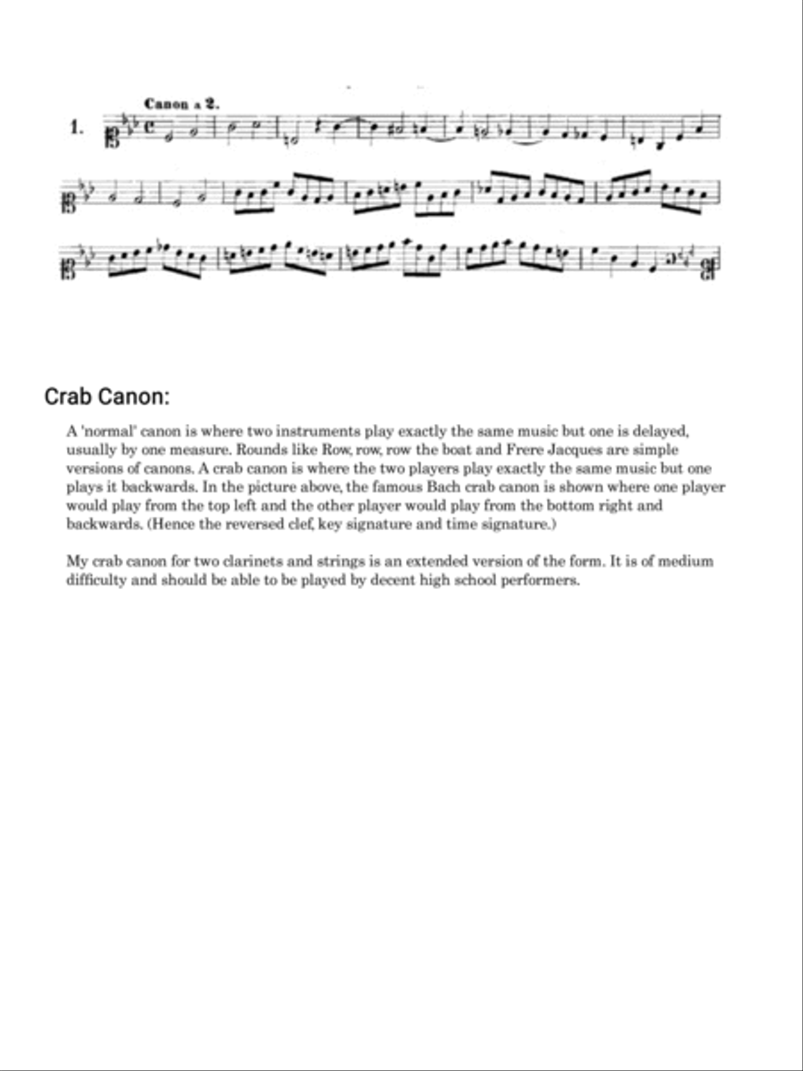 Crab Canon for 2 clarinets and strings Large Ensemble scores gallery preview page 2