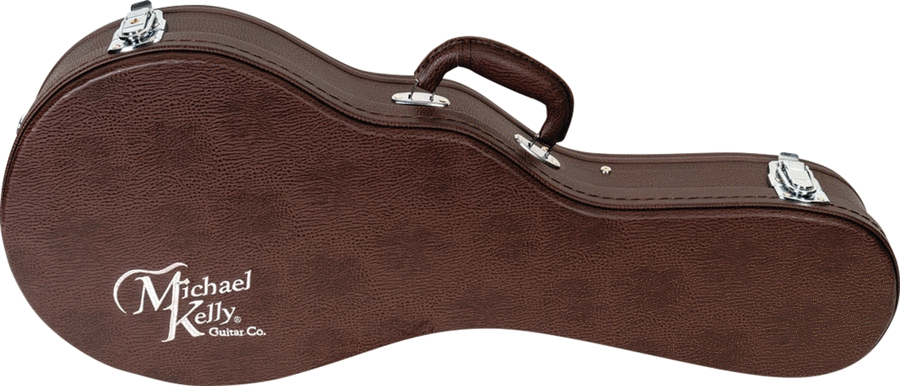 Book cover for Deluxe Mandolin Hard Case