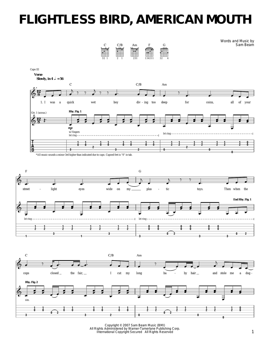 American Mouth, Flightless Bird Acoustic Guitar scores gallery preview page 1
