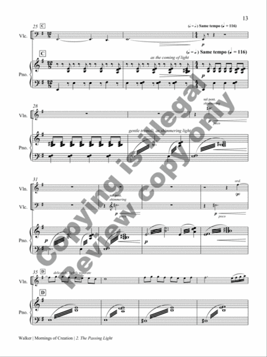 Mornings of Creation Piano Trio scores gallery preview page 29