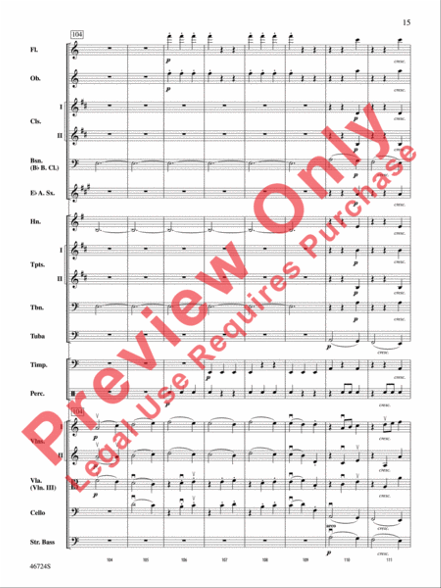 Symphony No. 5 Symphony No. 5 Full Orchestra scores gallery preview page 16
