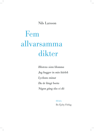 Book cover for Fem allvarsamma dikter
