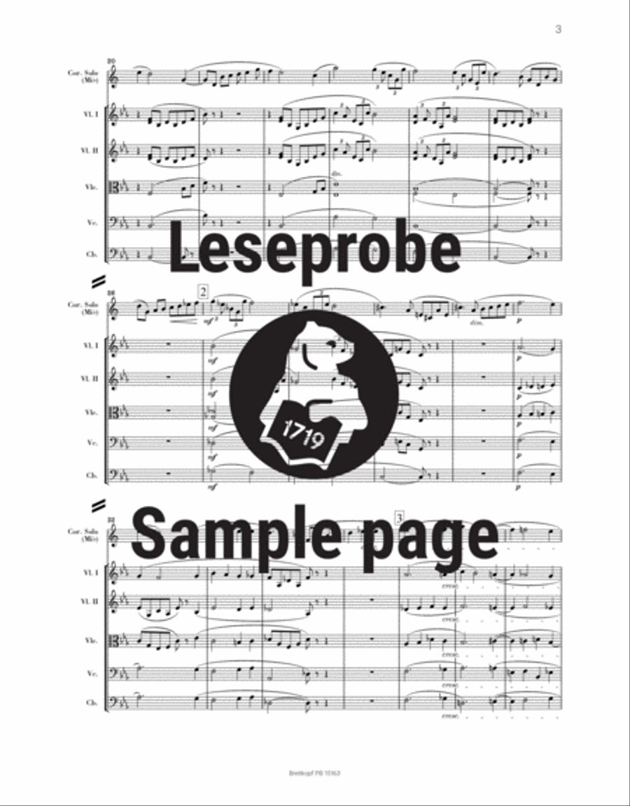 Horn Concerto No. 2 in E flat major TrV 283 Orchestra scores gallery preview page 4