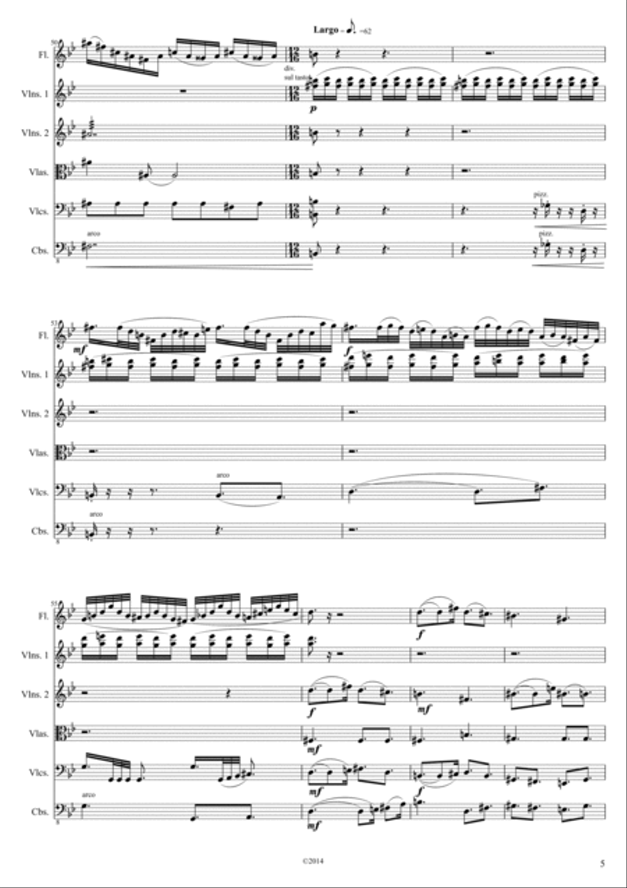 Rhapsody No.2 - for Flute and String orchestra (2014) Chamber Orchestra scores gallery preview page 6