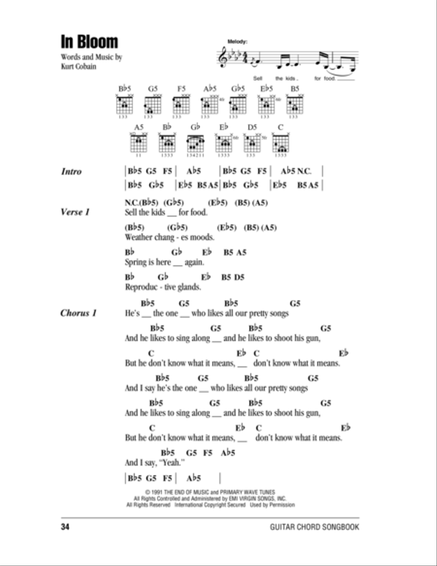 In Bloom In Bloom Acoustic Guitar scores gallery preview page 1