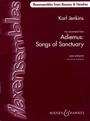 Book cover for Adiemus - Songs of Sanctuary
