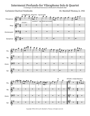 Intermezzi Profundo for Vibraphone Solo & Quartet