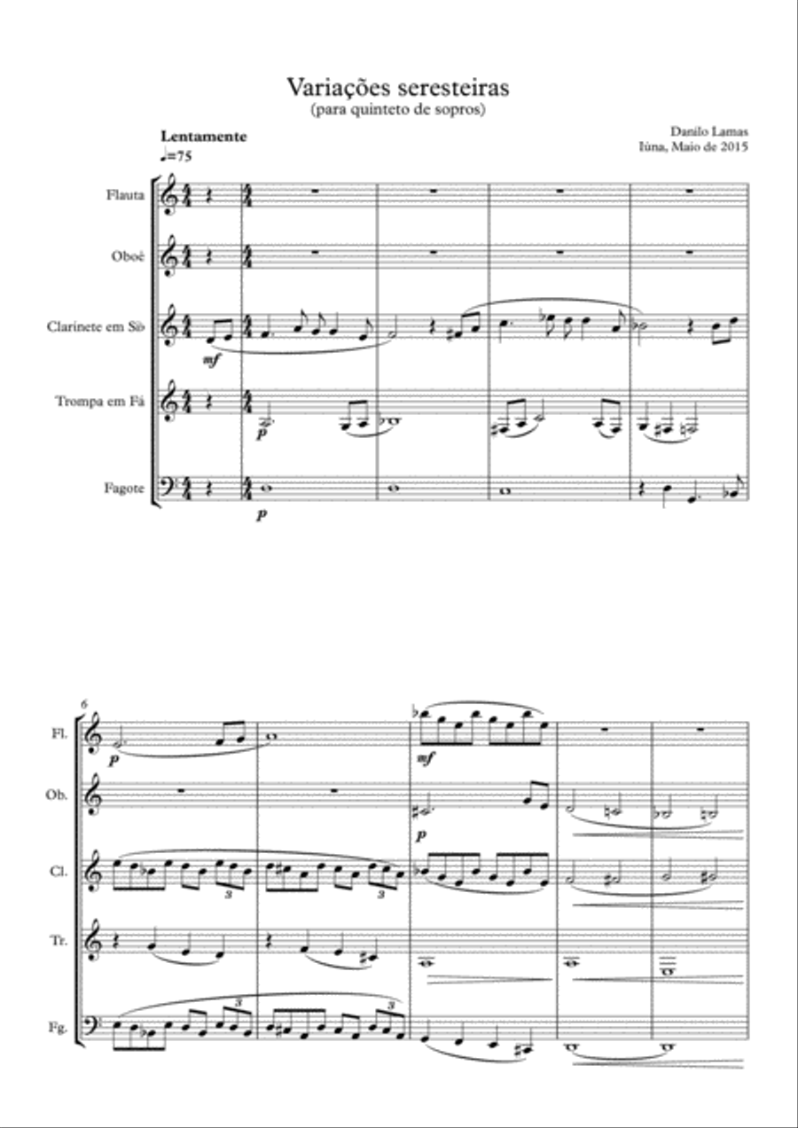Variações Seresteiras (Woodwind quintet) Woodwind Quintet scores gallery preview page 1