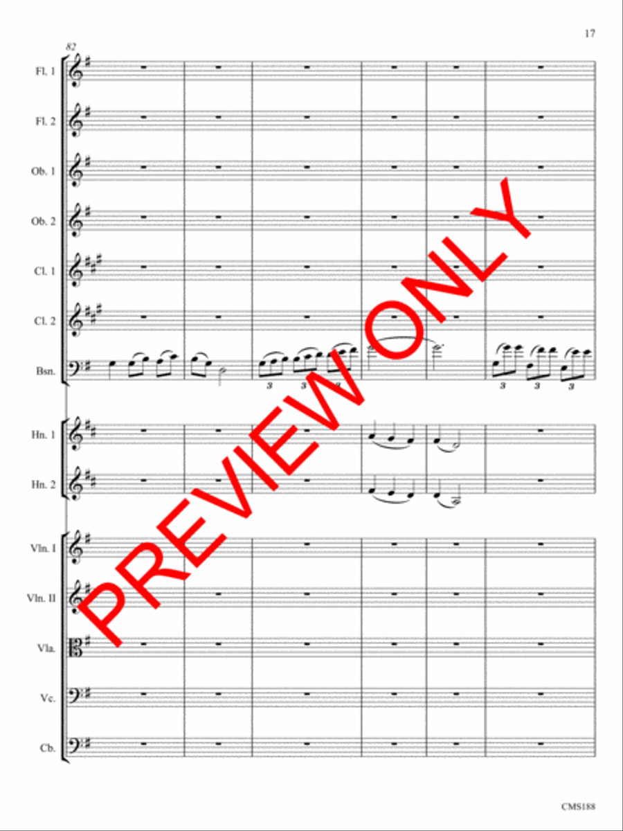 Alka Chamber Orchestra scores gallery preview page 18