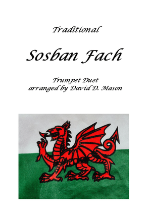 Book cover for Sosban Fach