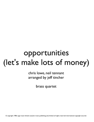 Book cover for Opportunities (let's Make Lots Of Money)