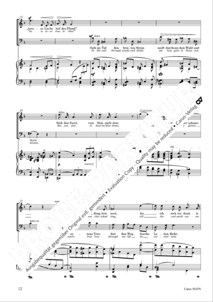 Toggenburg Toggenburg SSATB scores gallery preview page 15