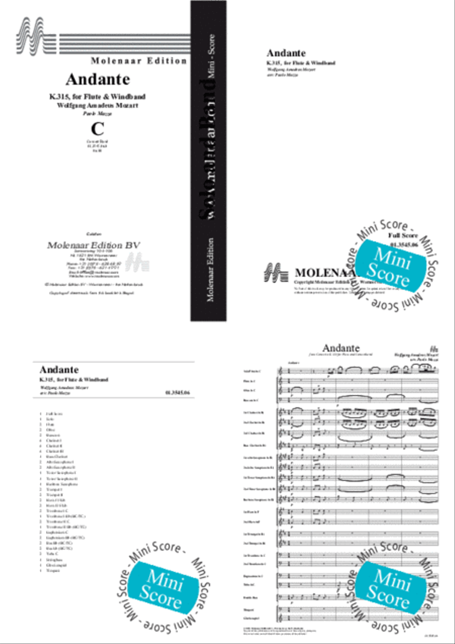 Andante for Flute & Windband Concert Band scores gallery preview page 2