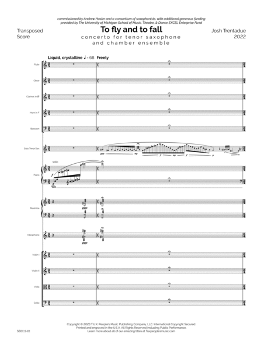 To fly and to fall (Concerto for Tenor Saxophone & Chamber Ensemble) Bassoon scores gallery preview page 5