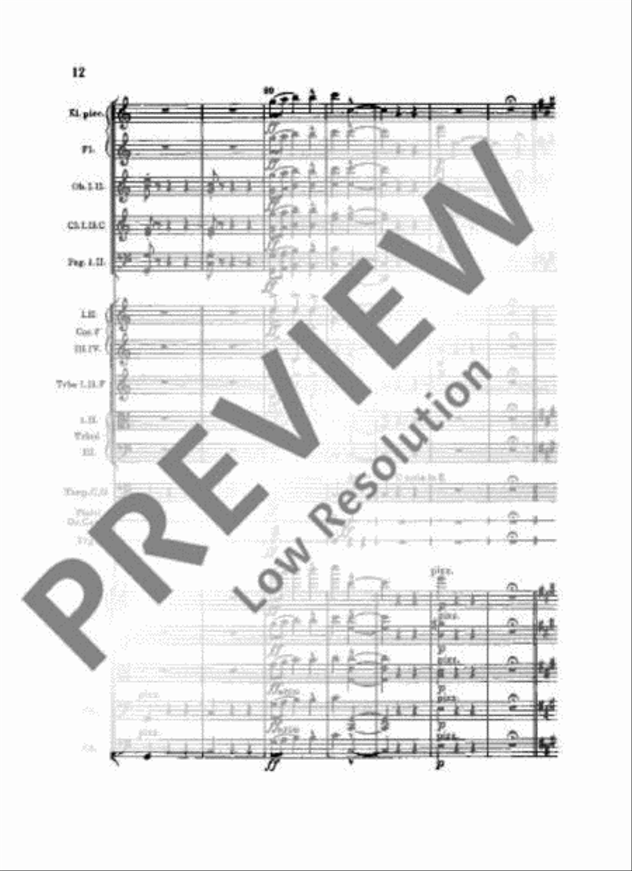 Slavonic Dances Orchestra scores gallery preview page 15