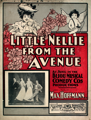Book cover for Little Nellie From the Avenue