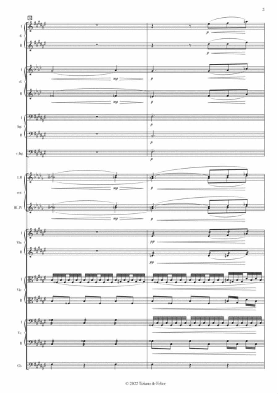 Poissons d'or (Debussy) - Tiziano de Felice Full Orchestra scores gallery preview page 5