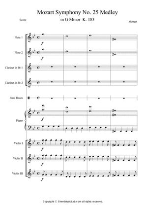 Symphony No. 25 in G minor, K. 183 (Mov.1~4 Medley)