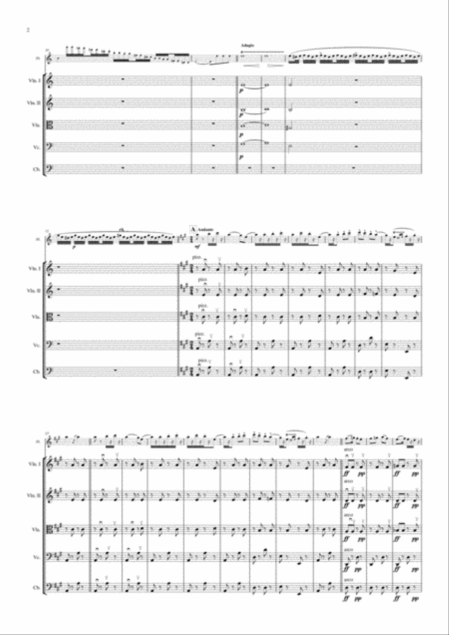 Souvenir D'Amerique- Variations Burleques sur Yankle Doodle op.17 for flute and string Orchestra - F Chamber Orchestra scores gallery preview page 4