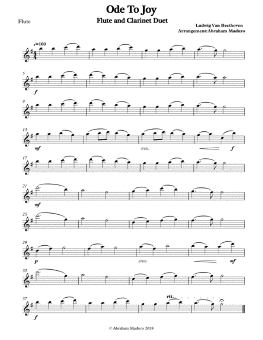 Beethoven`s Ode to Joy Flute Clarinet Duet-Three Tonalities Included Woodwind Duet scores gallery preview page 4