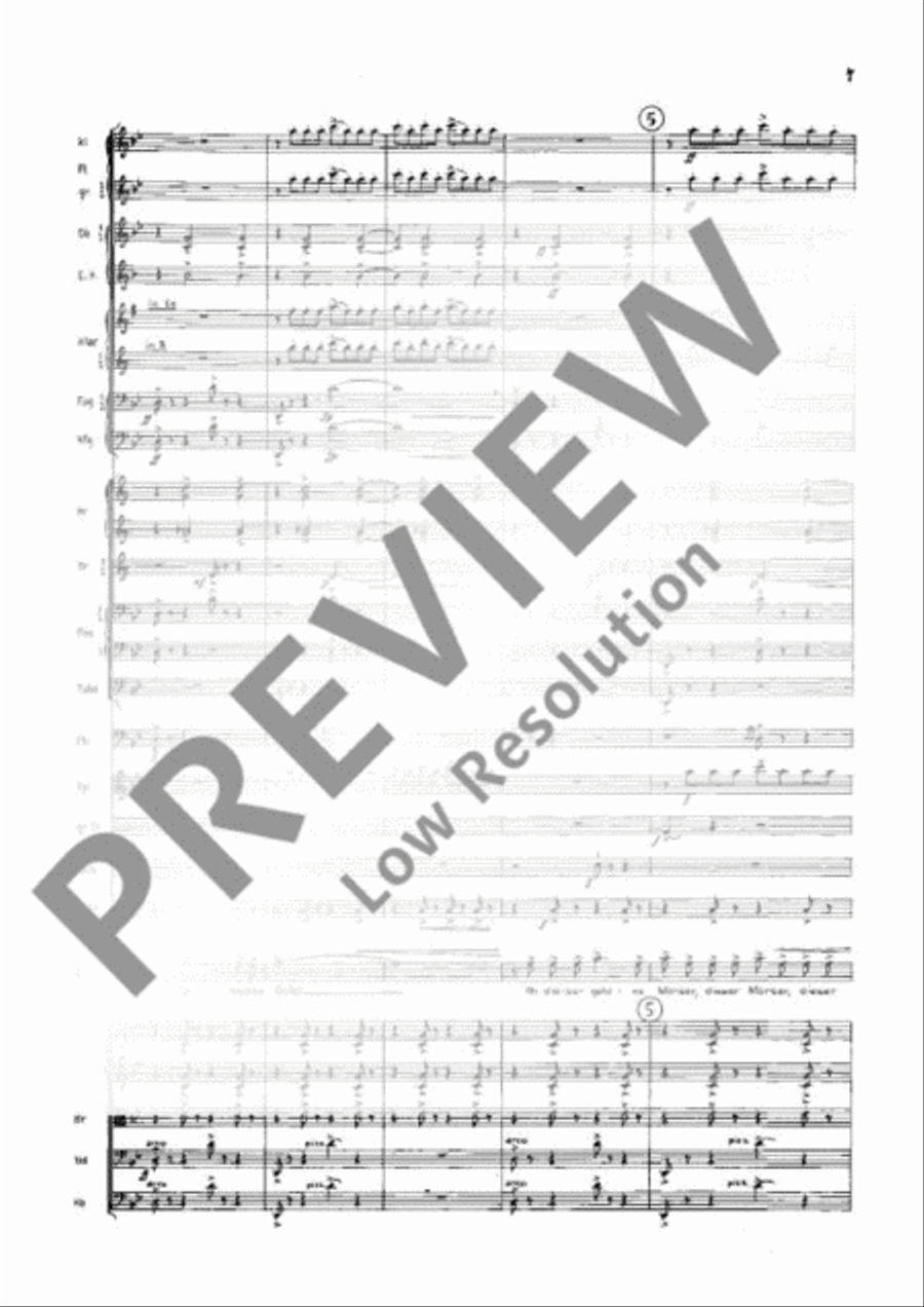 The wise woman Orchestra scores gallery preview page 12