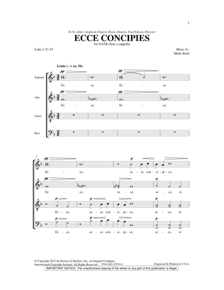 Book cover for Ecce Concipies