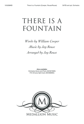 Book cover for There is a Fountain