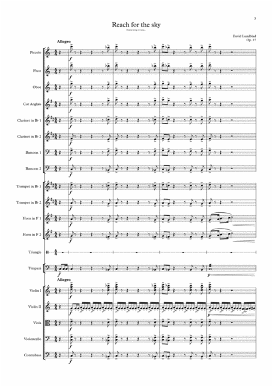 Reach for the sky Reach for the sky Chamber Orchestra scores gallery preview page 3