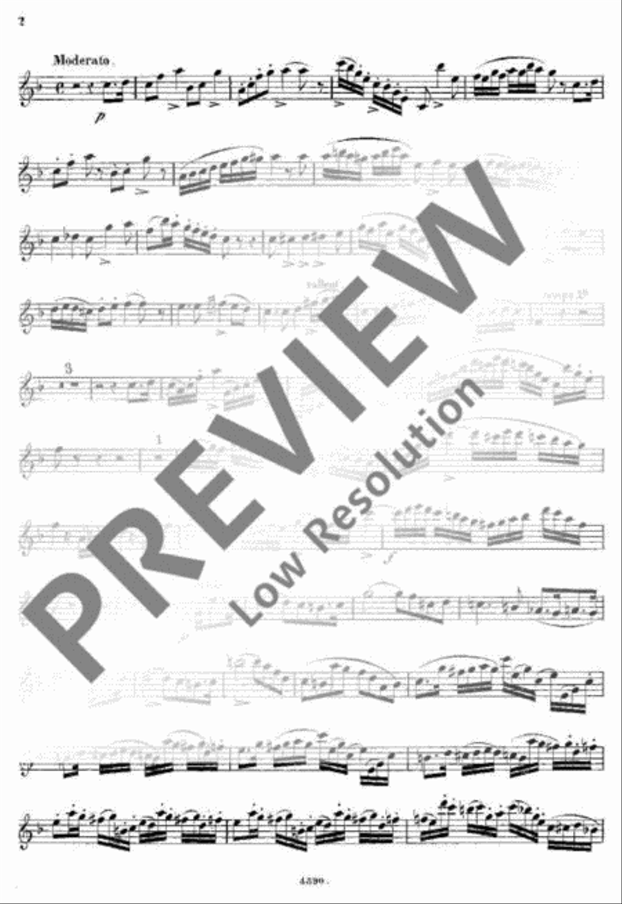 Fantaisie Clarinet Solo scores gallery preview page 12