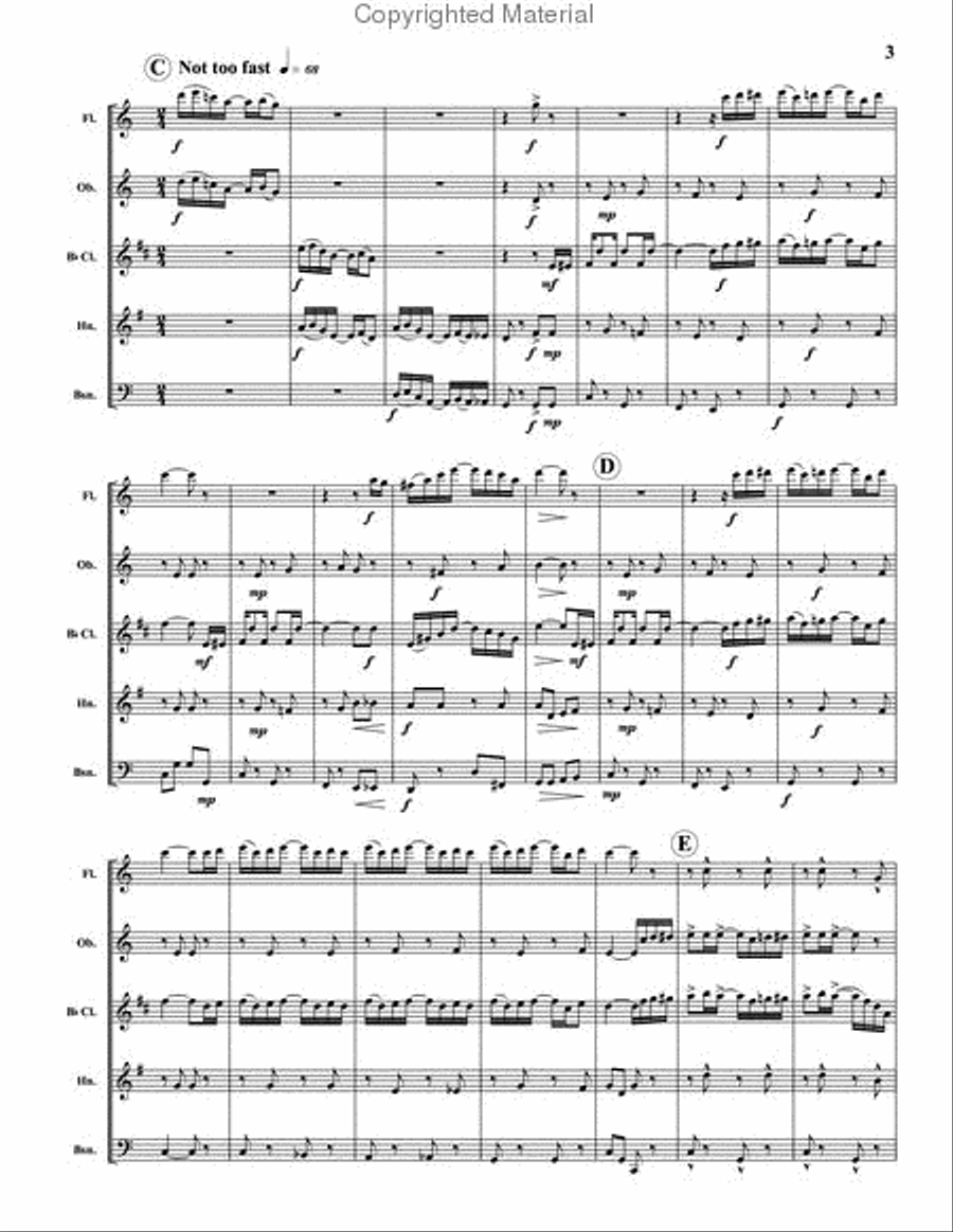 Tell the Entertainer to Play a March Woodwind Quintet scores gallery preview page 3