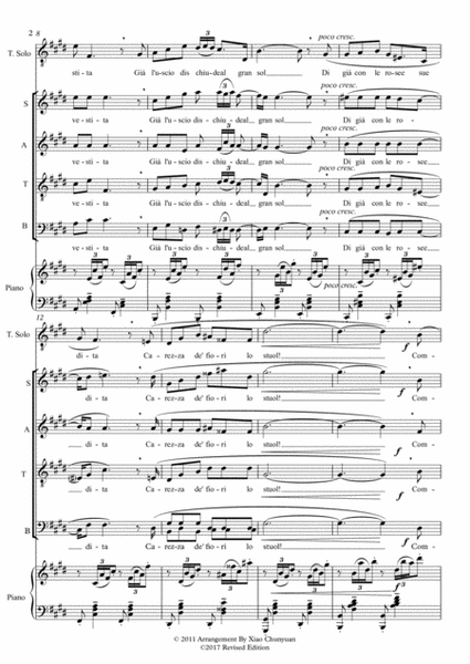 Mattinata, arranged for Tenor Solo & SATB Chorus image number null
