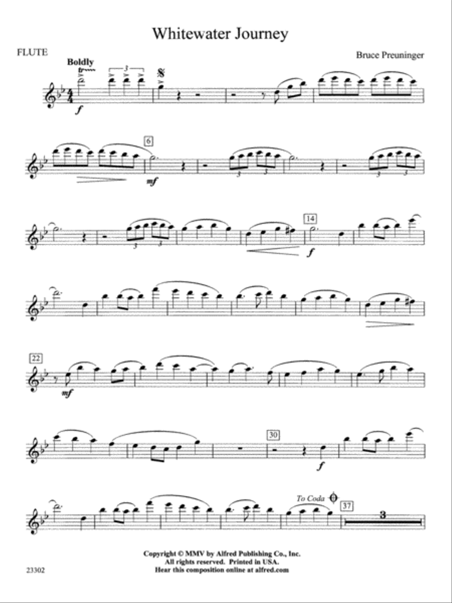 White Water Journey: Flute Concert Band scores gallery preview page 1