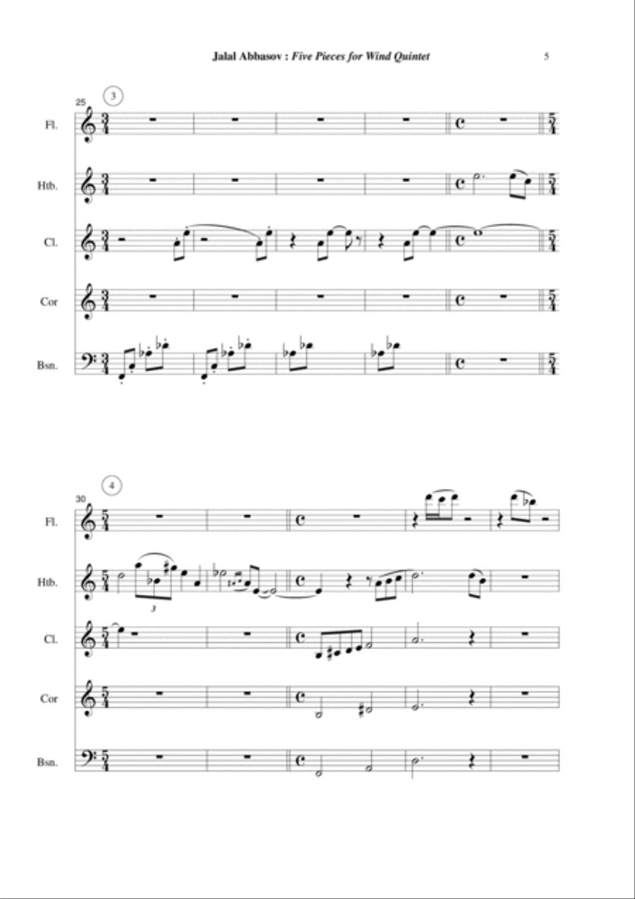 Five Pieces for Wind Quintet Woodwind Quintet scores gallery preview page 5
