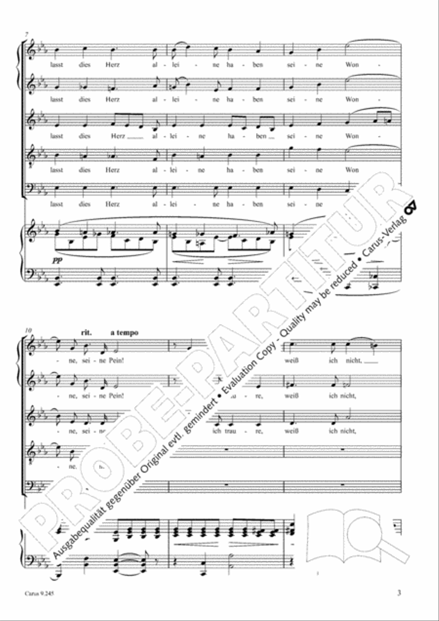 Verborgenheit SSATB scores gallery preview page 4