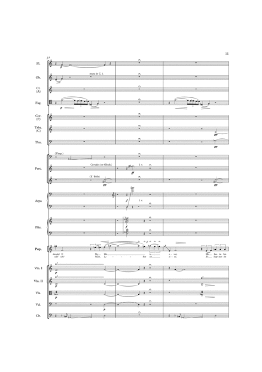 The Bear Chamber Orchestra scores gallery preview page 12