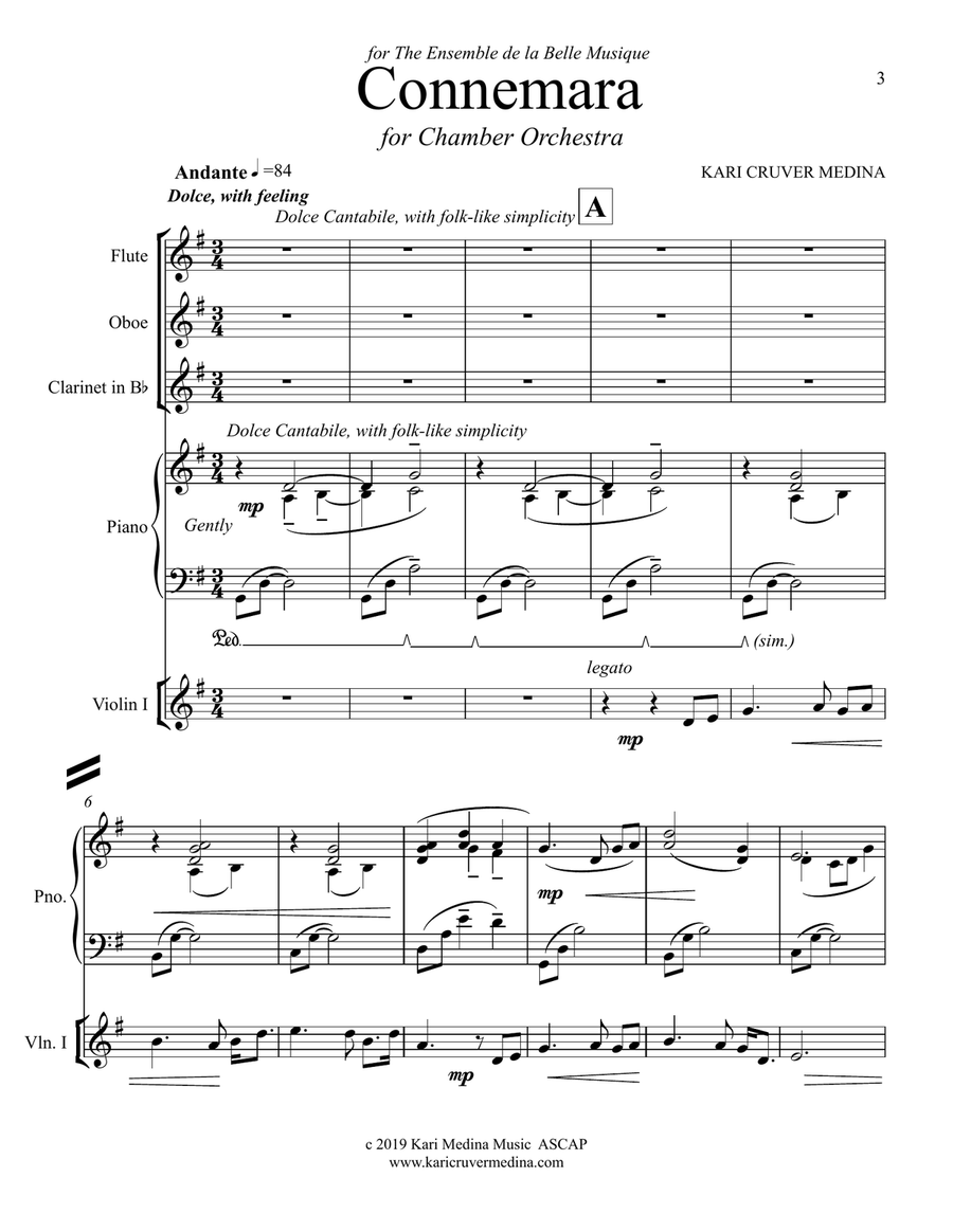 Connemara, for Chamber orchestra Chamber Music scores gallery preview page 3