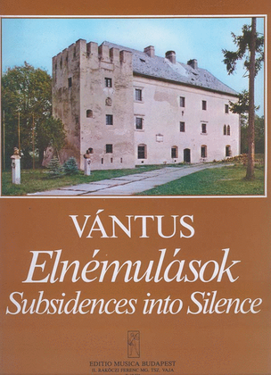 Book cover for Subsidences into Silence (Late Message to my Nat