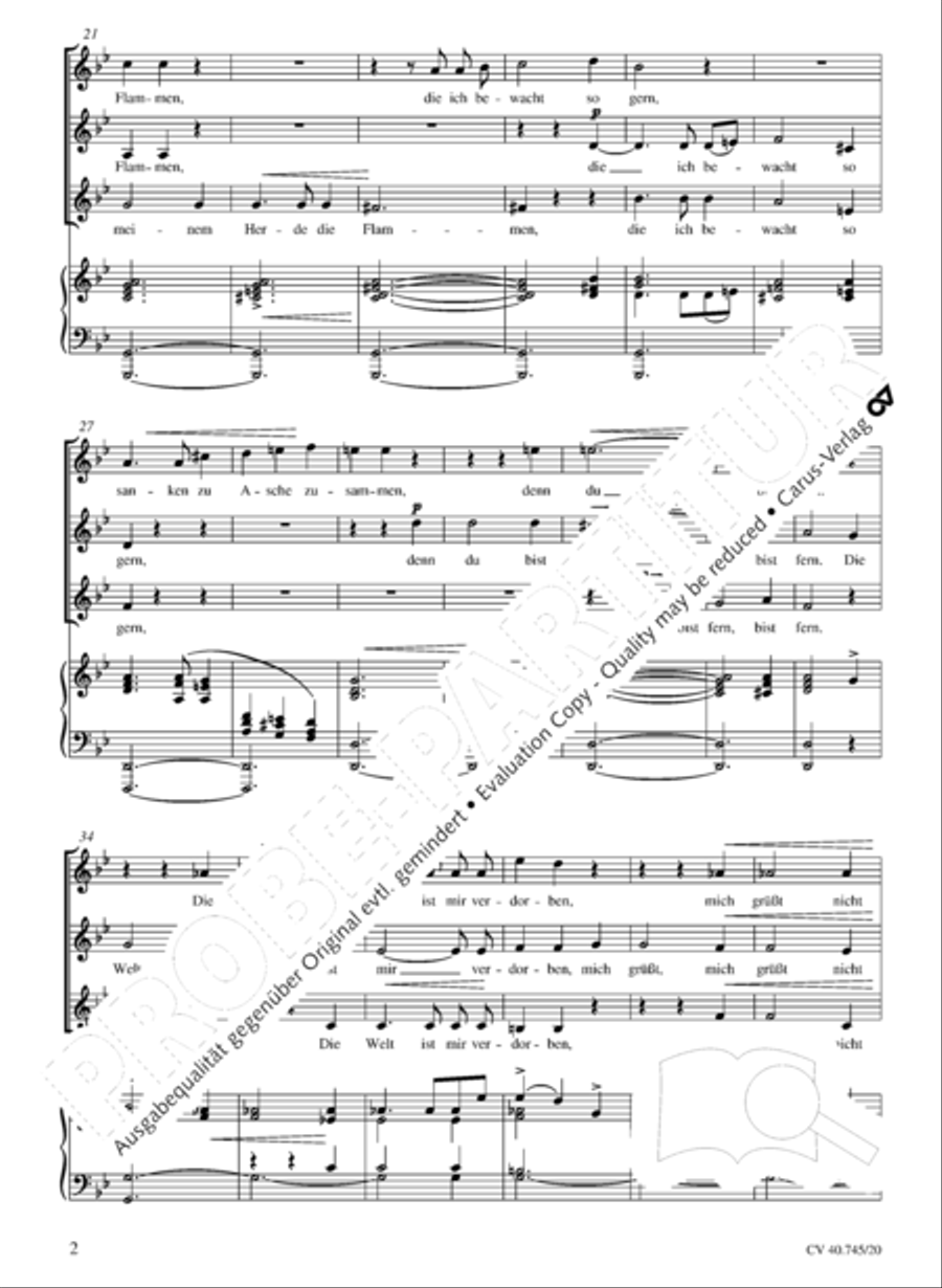 Lied SSA scores gallery preview page 3