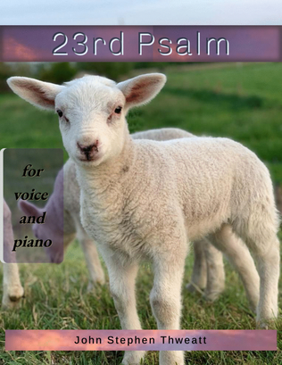 Book cover for 23rd Psalm