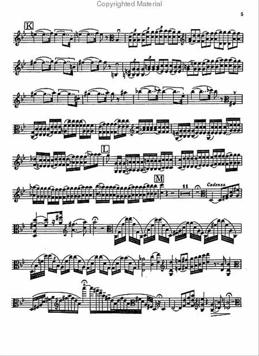 Concerto G Minor Concerto G Minor Viola scores gallery preview page 5