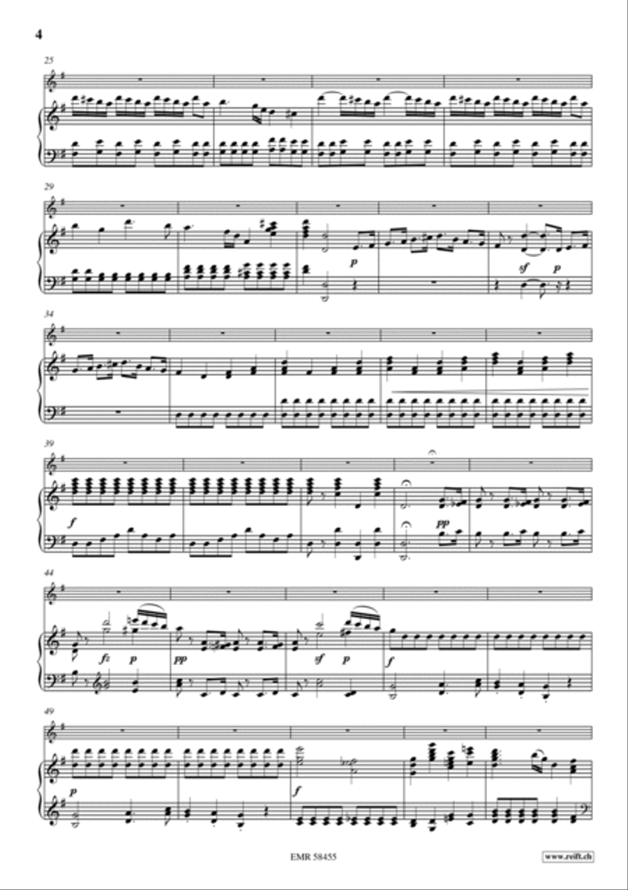 Concerto Flute Solo scores gallery preview page 5